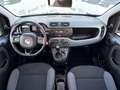 Fiat Panda Panda 1.2 Lounge easypower Gpl 69cv Orange - thumbnail 7