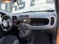 Fiat Panda Panda 1.2 Lounge easypower Gpl 69cv Orange - thumbnail 10