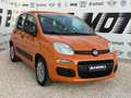 Fiat Panda Panda 1.2 Lounge easypower Gpl 69cv Orange - thumbnail 1