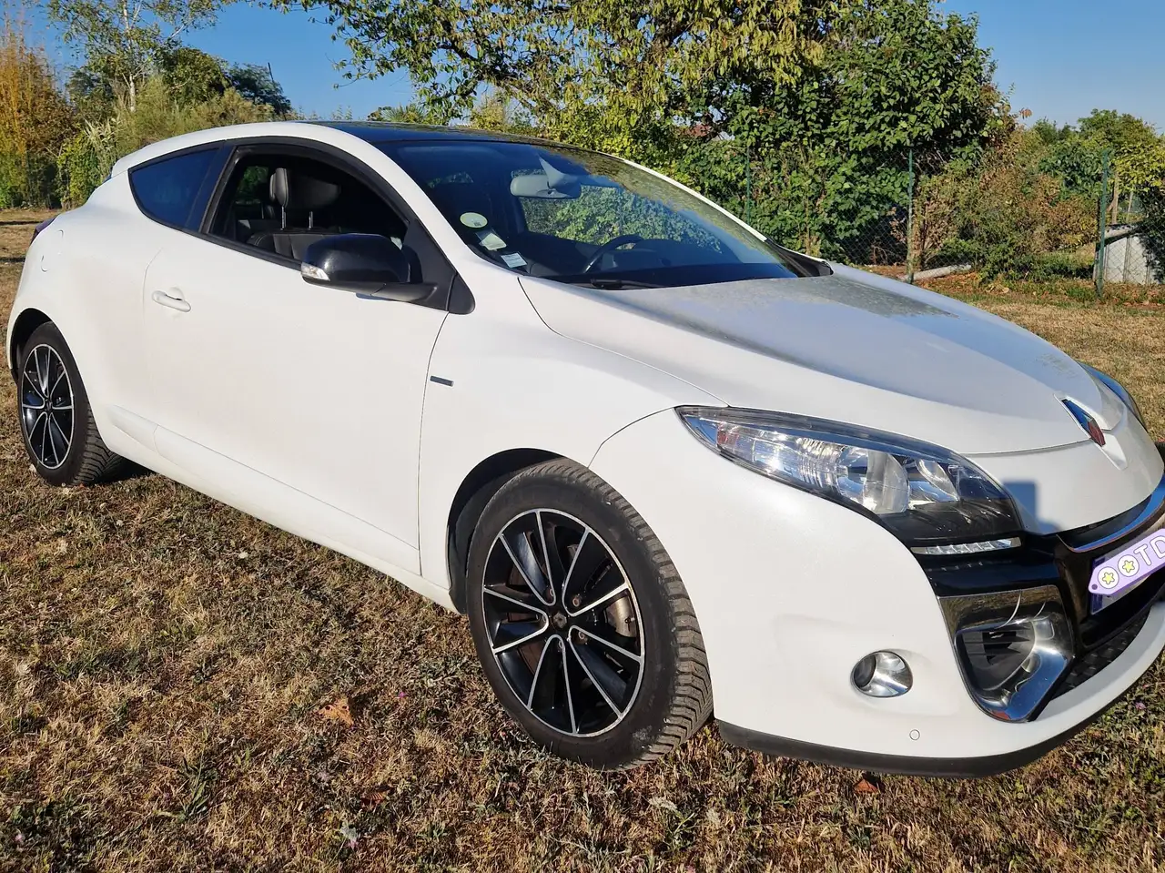 Renault Megane Coupé — photo 2