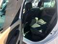 Renault Scenic Scenic 1.5 dci  110cv Weiß - thumbnail 13