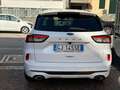 Ford Kuga 1.5 EcoBlue 120 CV aut. 2WD ST-Line Blanco - thumbnail 12