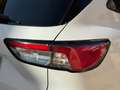 Ford Kuga 1.5 EcoBlue 120 CV aut. 2WD ST-Line Blanco - thumbnail 16