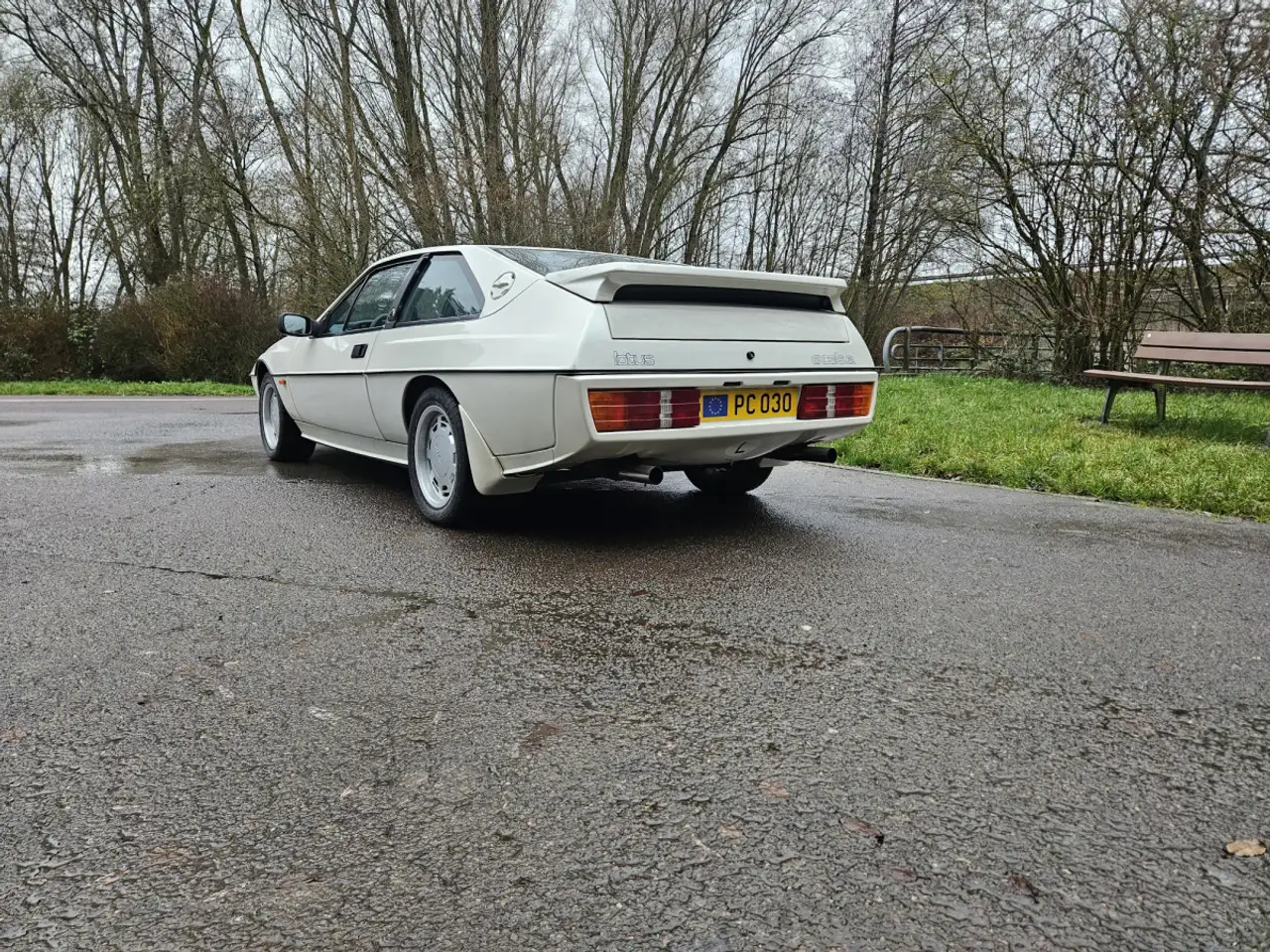 Lotus Excel S.E., foto 3