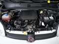Fiat Panda 1.0 Gse City Live Hybrid Blanco - thumbnail 21