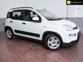 Fiat Panda 1.0 Gse City Live Hybrid Blanco - thumbnail 2