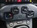 Fiat Panda 1.0 Gse City Live Hybrid Blanco - thumbnail 12