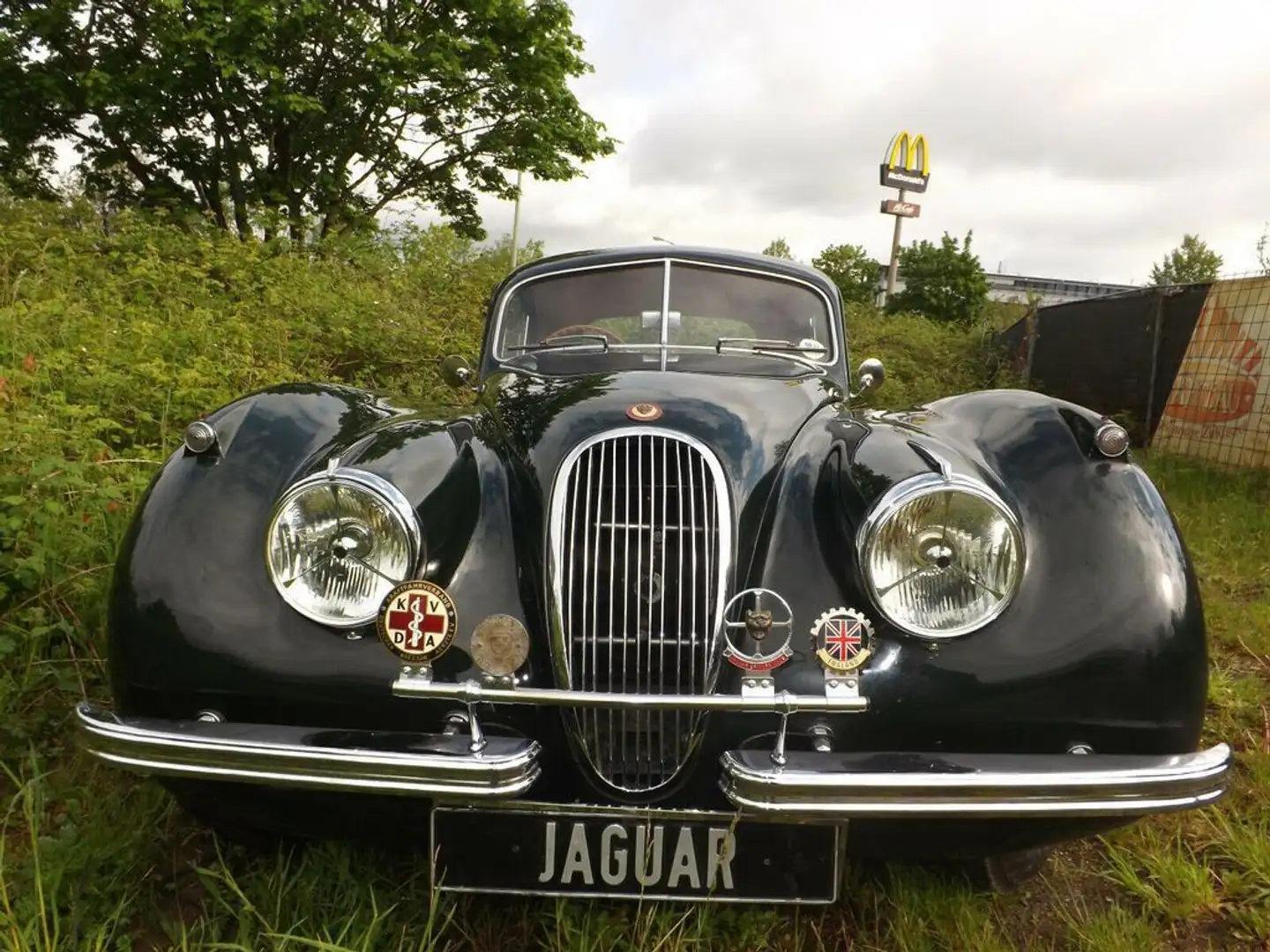 Jaguar XK 120 - die Superkatze! Verde - 2