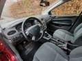 Ford Focus 1.6-16V Trend Rood - thumbnail 14