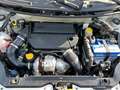 Fiat Panda Panda 1.3 MJT 16V DPF 4x4 Climbing - thumbnail 16