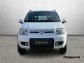 Fiat Panda Panda 1.3 MJT 16V DPF 4x4 Climbing - thumbnail 2