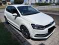 Volkswagen Polo Polo 1,2 TSI / Sound Edition / 90PS / 87.700 Km / Unfallfrei / Erste Hand / 8-fach Bereifung Weiß - thumbnail 1