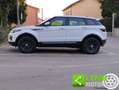 Land Rover Range Rover Evoque 2.0 TD4 150 CV 5p. SE Bianco - thumbnail 12