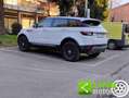 Land Rover Range Rover Evoque 2.0 TD4 150 CV 5p. SE Bianco - thumbnail 11