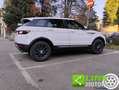 Land Rover Range Rover Evoque 2.0 TD4 150 CV 5p. SE Bianco - thumbnail 4