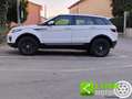 Land Rover Range Rover Evoque 2.0 TD4 150 CV 5p. SE Bianco - thumbnail 10