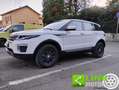 Land Rover Range Rover Evoque 2.0 TD4 150 CV 5p. SE Bianco - thumbnail 9