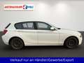 BMW 114 114i 5-trg. Klima Alb - thumbnail 4