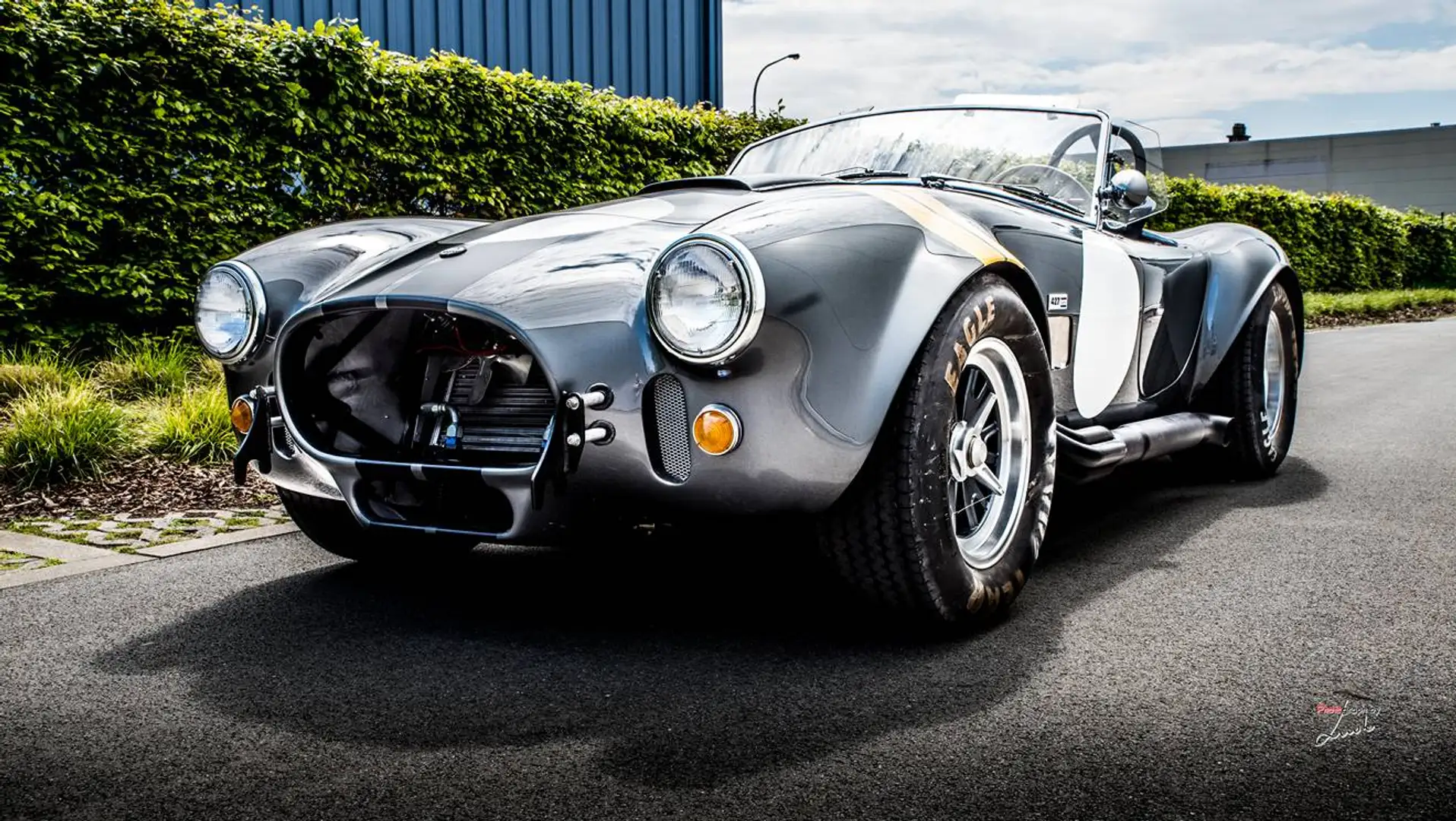 Shelby Sonstige Cobra Grau - 1