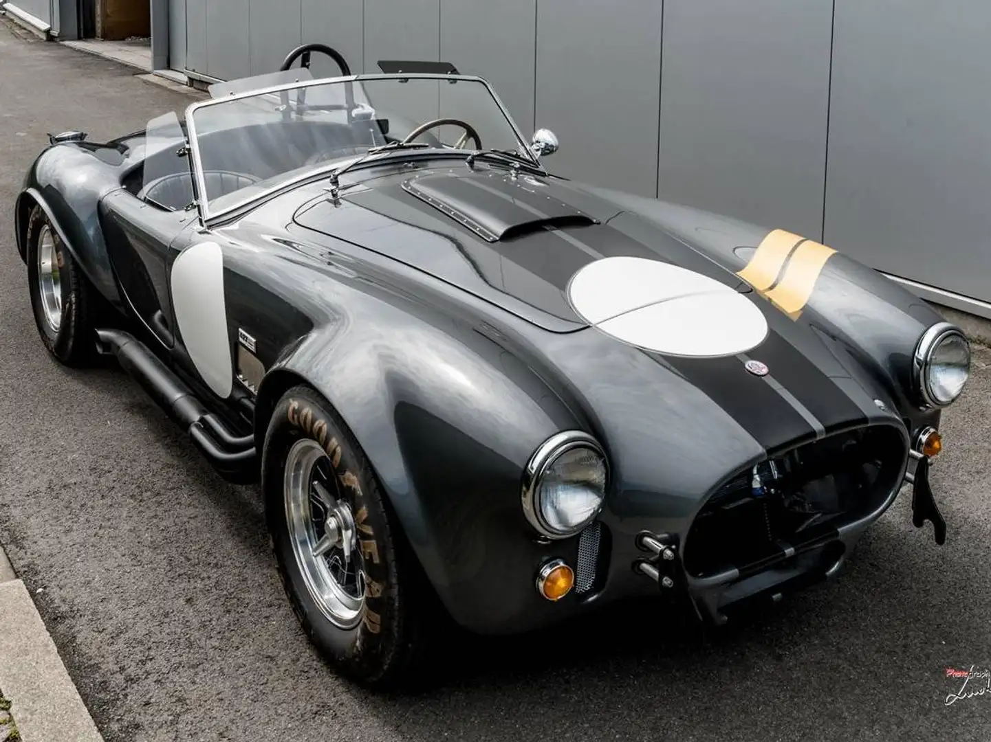 Shelby Sonstige Cobra Grau - 2
