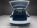 Mercedes-Benz GLE 300 GLE 300 d 4Matic AMG Line +AHK+Pano+HUD+Night+ShzFond+Guard360°+ Blanc - thumbnail 9