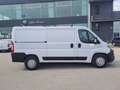 Fiat Ducato FURGONE MAXI 35 PM TB ALLESTISTO OFFICINA 2.3 MJT Bianco - thumbnail 7