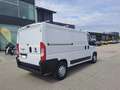 Fiat Ducato FURGONE MAXI 35 PM TB ALLESTISTO OFFICINA 2.3 MJT Bianco - thumbnail 6