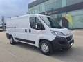 Fiat Ducato FURGONE MAXI 35 PM TB ALLESTISTO OFFICINA 2.3 MJT Bianco - thumbnail 8