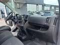 Fiat Ducato FURGONE MAXI 35 PM TB ALLESTISTO OFFICINA 2.3 MJT Bianco - thumbnail 17