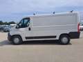 Fiat Ducato FURGONE MAXI 35 PM TB ALLESTISTO OFFICINA 2.3 MJT Bianco - thumbnail 3