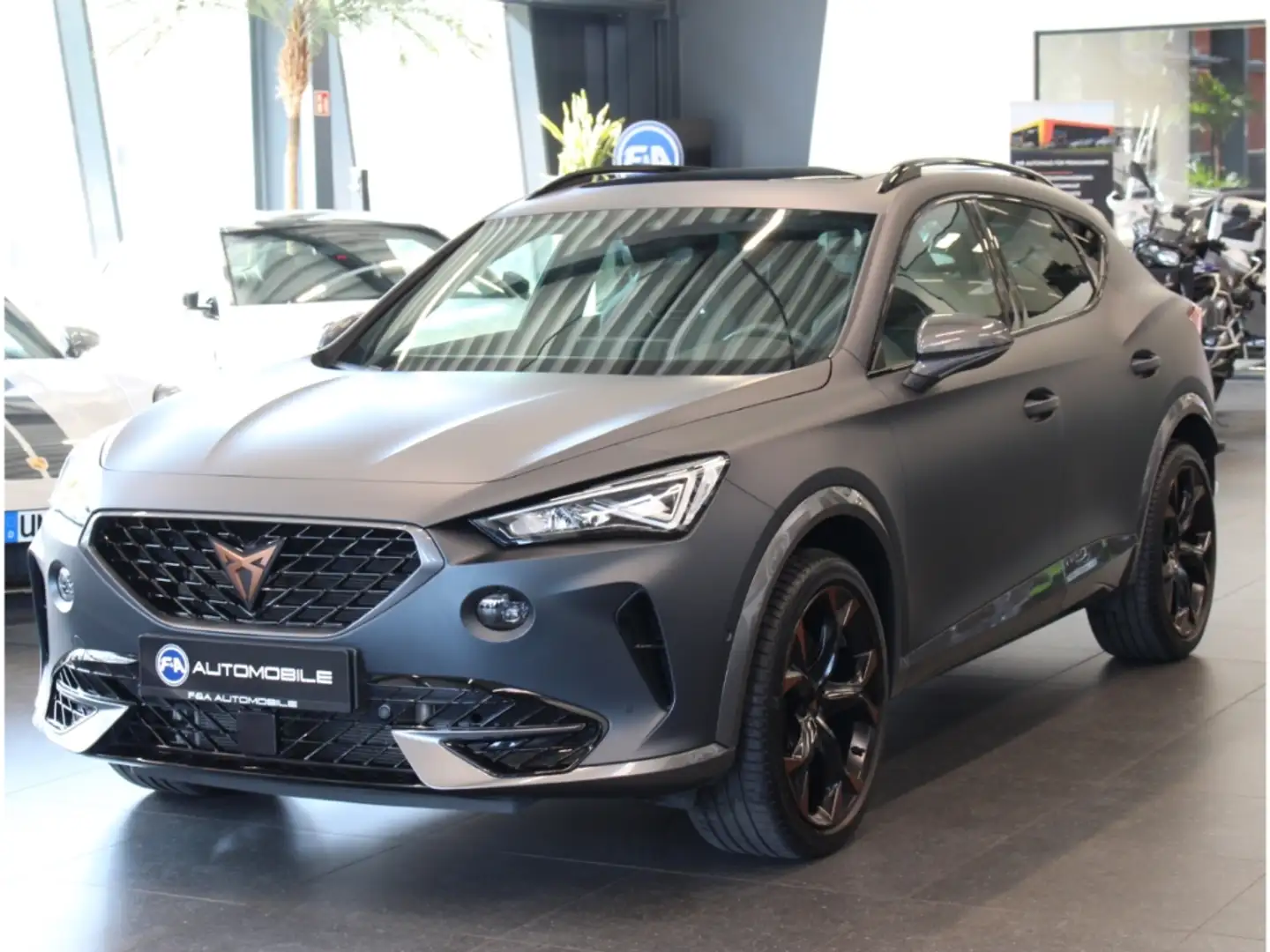 CUPRA Formentor VZ 4Drive 2.0 TSI 1.Hand*Pano*Carplay Gris - 1