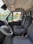 Iveco Daily Iveco Daily Typ 35S16AS, Klima, Automatik Weiß - thumbnail 7