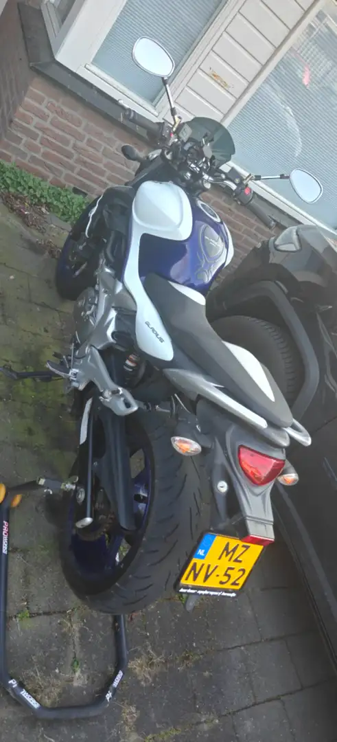 Suzuki Gladius 650 SFV650 Blanco - 1