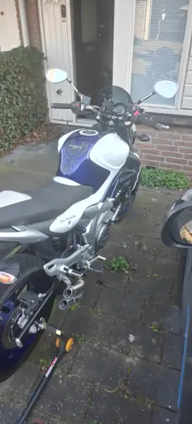 Suzuki Gladius 650 - foto 6