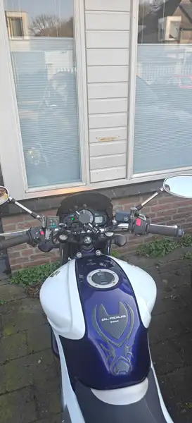 Suzuki Gladius 650 - foto 8