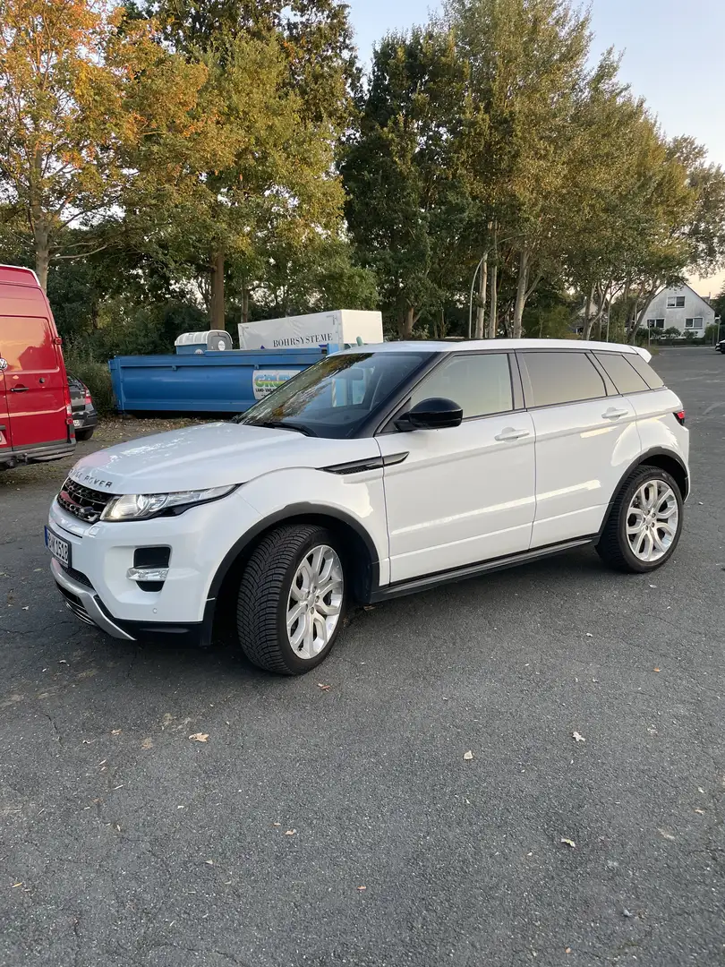 Land Rover Range Rover Evoque Dynamic Weiß - 2