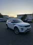 Land Rover Range Rover Evoque Dynamic Weiß - thumbnail 5