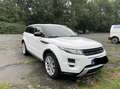 Land Rover Range Rover Evoque Dynamic Weiß - thumbnail 14