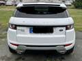 Land Rover Range Rover Evoque Dynamic Weiß - thumbnail 15