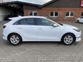 Kia Ceed / cee'd 1.5T DCT7 VISION KOMF NAVI ALLWETTER AHK Klima Weiß - thumbnail 8