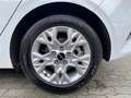 Kia Ceed / cee'd 1.5T DCT7 VISION KOMF NAVI ALLWETTER AHK Klima Weiß - thumbnail 10