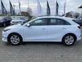 Kia Ceed / cee'd 1.5T DCT7 VISION KOMF NAVI ALLWETTER AHK Klima Weiß - thumbnail 4