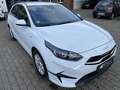 Kia Ceed / cee'd 1.5T DCT7 VISION KOMF NAVI ALLWETTER AHK Klima Weiß - thumbnail 9