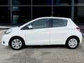 Toyota Yaris 1.0 BENZ 69 CV ADATTA A NEOPATENTATI Bianco - thumbnail 8