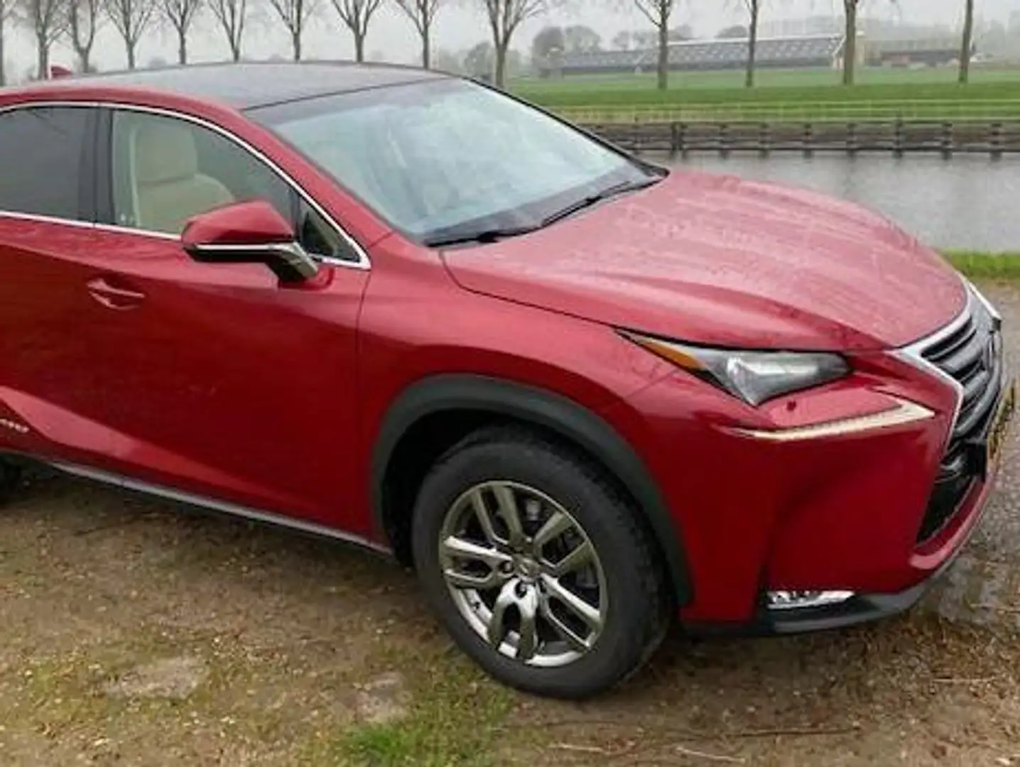 Lexus NX 300h 300h AWD Luxury Line / Pano / Trekhaak / vol optie Red - 1