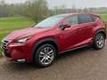 Lexus NX 300h 300h AWD Luxury Line / Pano / Trekhaak / vol optie Rood - thumbnail 4