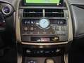 Lexus NX 300h 2.5 Business Navigation 2WD Plateado - thumbnail 23