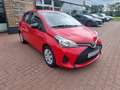 Toyota Yaris 1.0 Klima, ZV, Einparkhilfe Rouge - thumbnail 21