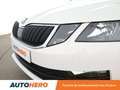 Skoda Octavia Combi 1.6 TDI SCR Clever DSG7 Blanc - thumbnail 31