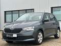 Skoda Fabia Cool Plus Klima PDC Allwetter DAB 16.400KM Grigio - thumbnail 1